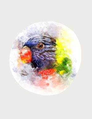 Rainbow Lorikeet watercolour portrait - flat print artwork for the lorikeet mug