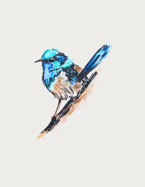 Fairywren blue wren on a branch - flat print artwork for the australian bird mug
