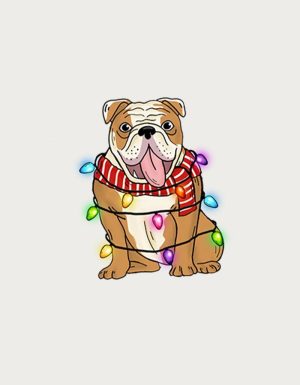 Bulldog wrapped in fairy lights - flat print artwork for the Christmas mug
