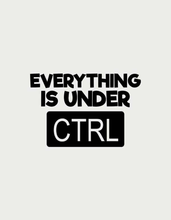 IT Mug - Everything is Under CTRL