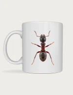 Bug mug - realistic macro photograph of an ant