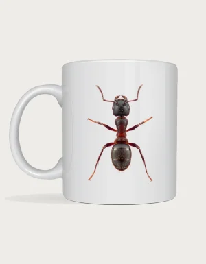 Bug mug - realistic macro photograph of an ant