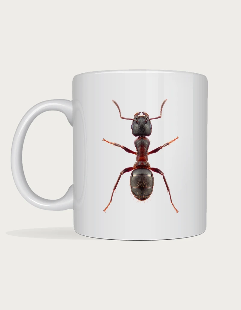 Bug mug - realistic macro photograph of an ant