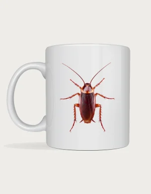 Realistic cockroach mug with a macro top-down American cockroach print