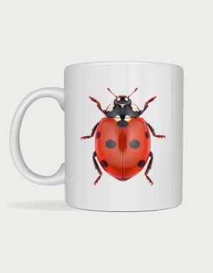 Lady bug mug - realistic macro photograph of a ladybug