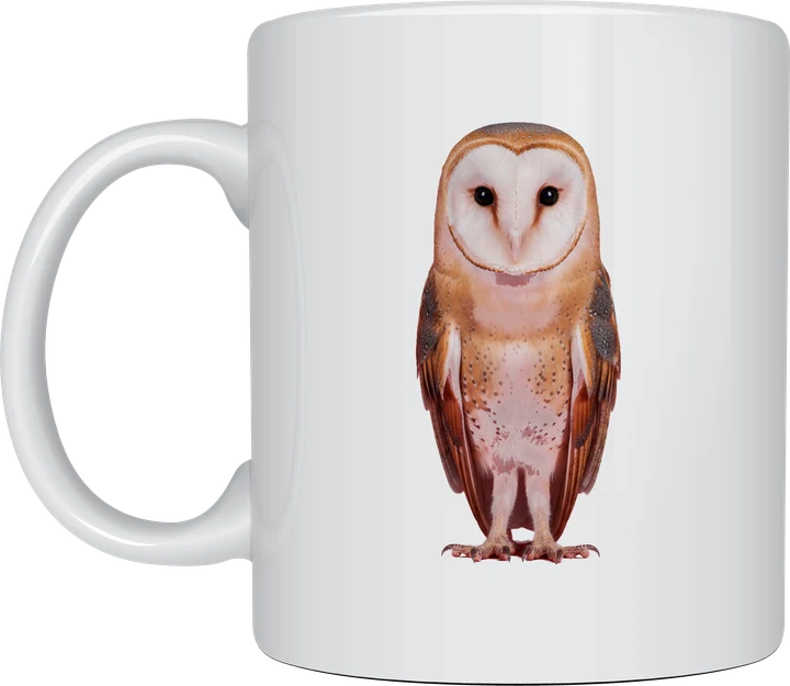 Barn owl mug with a photorealistic barn owl portrait printed on a white ceramic mug