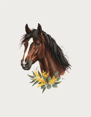Watercolour bay horse head with a white blaze, golden wattle and eucalyptus leaves, shown on a plain background