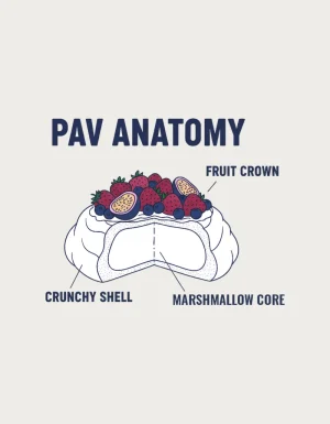 Technical cutaway diagram of a pavlova with labels for the fruit crown, crunchy shell and marshmallow core, under the title Pav Anatomy - flat print artwork for the pavlova mug