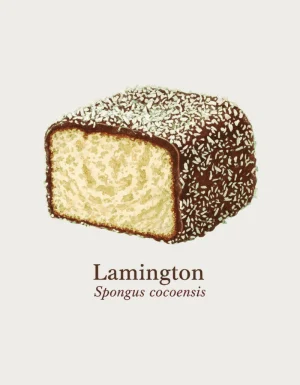 Vintage natural history style illustration of a lamington with chocolate and coconut, captioned Lamington, Spongus cocoensis - flat print artwork for the lamington mug