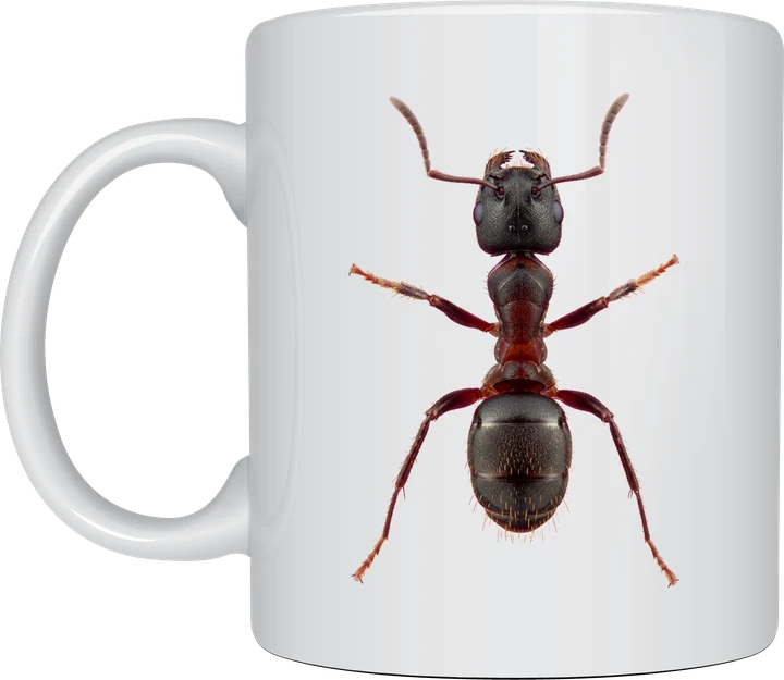Bug mug - realistic macro photograph of an ant